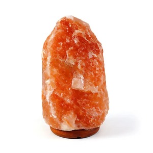 Lámpara de Concha Marina Tallada en Sal del Himalaya Ecológica, Diseño Moderno para Decoración del Hogar, Precio de Mayoreo Directo de Fábrica - Product Image 2