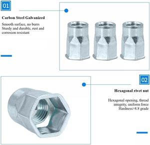 Tuerca remachable ciega de cabeza pequeña semihexagonal pasiva de níquel, de acero al carbono, Rivnut M3-M12, para muebles y gabinetes, de fábrica - Product Image 5