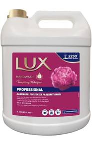 Savon liquide pour les mains Velvet Touch, formule hydratante luxueuse pour des mains douces et d'apparence saine - Product Image 4