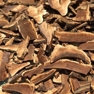 เห็ดหลินจือแห้งเวียดนามเกรดพรีเมียม สำหรับส่งออกขายส่ง - Product Image 6