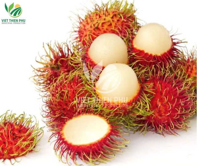 2025 Wholesale IQF Organic Rambutan Fresh Sweet Preserved High Quality Water Vietnam Gardens Bulk Vacuum Packed Frozen Fruit