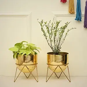 กระถางต้นไม้เคลือบทองสไตล์วินเทจสำหรับตกแต่งบ้านได้รับการออกแบบอย่างทันสมัยสำหรับ2024ส่งออกจากอินเดียชุดละ2ชิ้น - Product Image 3
