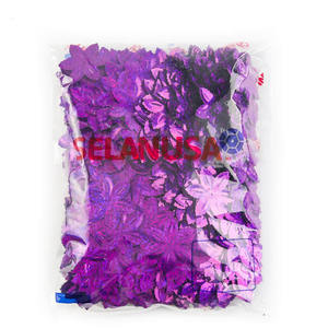 Paillettes de forme spéciale, petit trou centré, couleur holographique, Selanusa - Product Image 1