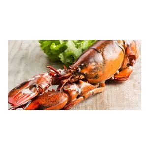 Homard entier surgelé au prix de gros Achetez aujourd'hui et profitez d'une livraison rapide pour des fruits de mer frais et délicieux - Product Image 6