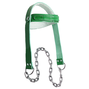 Harnais de musculation confortable et durable, boucle résistante, chaîne de maintien du poids pour l'entraînement de résistance du cou, fitness - Product Image 3