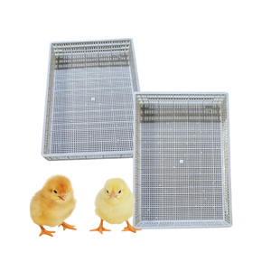 Piso de listón de plástico para aves de corral Entrega rápida Nuevo diseño para personalización de equipos de aves de corral de pollo del fabricante de Vietnam - Product Image 3