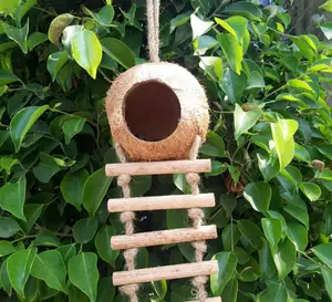 WHOLESALE COCONUT BIRD NEST MADE BY COCONUT SHELL/ COCONUT BIRD HOUSE FROM COCO - ECO VIETNAM