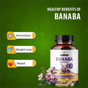 Precio más bajo Cápsulas de extracto de Banaba 100% Cápsulas de hierbas orgánicas de alta calidad Tasa de exportadores de fábrica a granel - Product Image 2