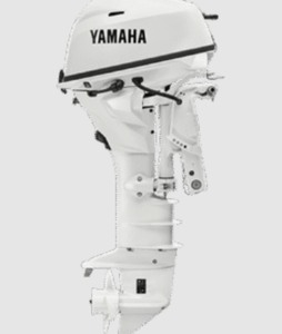 Meilleurs moteurs hors-bord Thrustt 25 CV _ T25LWTC pour bateaux - Product Image 1