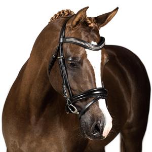 Vente en gros d'équipement de cheval, bride de cheval, bride de course de cheval de licou, nouvelle qualité 2018 à 2019 bride de cheval - Product Image 4