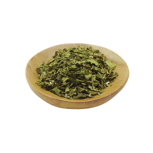 FEUILLES DE PAPAYE SÉCHÉES MEILLEUR VENDEUR FEUILLES DE PAPAYE SÉCHÉES FEUILLES DE PAPAYE BIOLOGIQUES - Product Image 5