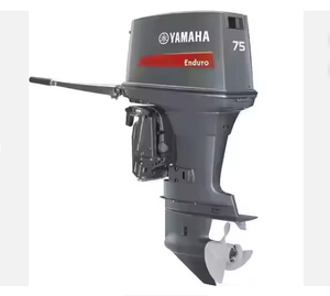 NOUVELLE ARRIVÉE MOTEURS HORS-BORD 15HP 25HP 40HP 60HP 9.9HP 2 TEMPS ET 4 TEMPS & MOTEURS DE BARQUE - Product Image 1