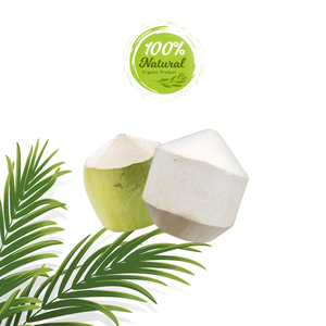 Solutions d'emballage innovantes pour la noix de coco pelée au diamant pour les produits agricoles - Product Image 6