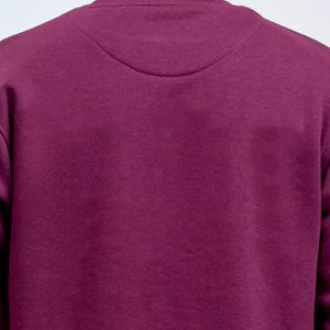 Sudaderas de Invierno Personalizadas para Hombre, Doble Capa, Felpa Gruesa, 100% Algodón, Ecológicas, Impresión Puff, Logotipo Personalizado OEM - Product Image 6