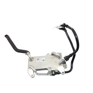 INTERCAMBIADOR DE CALOR DE LA CAJA DE CAMBIOS DEL AUDI Q8 (4MN) 4M0317021G DHXA, DPXA Hybrid 3000 (18>) - Product Image 1