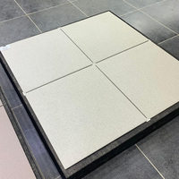 Vente flash : Carreaux de sol en porcelaine mate 60x60 cm pour salle de bain et usage commercial, résistants aux acides, antidérapants, blancs