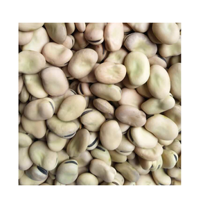 Fèves sèches bio de qualité supérieure 30kg à bas prix pour les cuisiniers à domicile et les amateurs de cuisine - Product Image 2