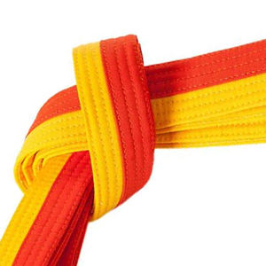 Cinturones de kárate de algodón de primera calidad, equipo de entrenamiento de artes marciales con logotipo personalizado y características ligeras y embalaje Premium - Product Image 2