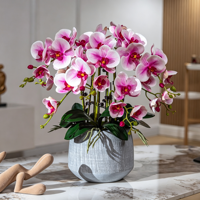 Susunan Anggrek Phalaenopsis Buatan Mewah Berkualitas Tinggi dengan Sentuhan Realistis dalam Pot untuk Dekorasi Meja Hotel, Rumah, atau Kantor