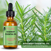 Özel Formüllü Organik Biberiye Esansiyel Yağı Saç Onarıcı, Düzleştirici, Besleyici ve Güçlendirici Serum (Evde Kullanım İçin)