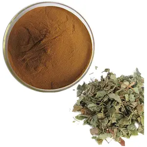 Wholesale Top Quality 100% Pure Organic Horny Goat Weed Extract Powder at Cheap Price from India