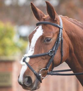 Hunter Brida de cuero genuino de alta calidad FABRICANTE de brida de caballo de cuero genuino de moda Brida de caballo de cuero - Product Image 3