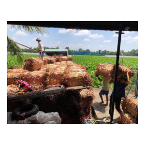 Exportar grandes cantidades de jacinto de agua seca tradicional vietnamita a buenos precios en 2025 - Product Image 1