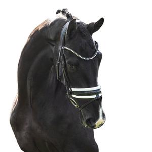 Brida snaffle - Product Image 1