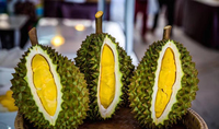 Offre Spéciale : Machine à Centrifuger et Peler les Graines de Durian pour la Production de Pâte de Durian Congelée de Malaisie