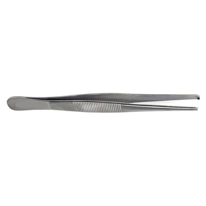 คีมผ่าตัดแบบตรง ยี่ห้อ Taylor รุ่น Dissecting Forceps  แบบมีฟันเลื่อย สำหรับจับเนื้อเยื่อ มีจำหน่ายทุกคุณภาพและขนาด - Product Image 4