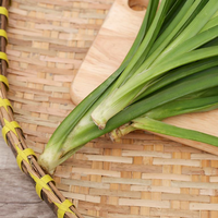 Haut Pandanus Amaryllifolius du Viet Nam Feuilles de Pandanus fraîches Feuille de Pandan congelée