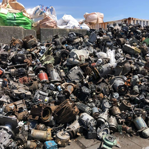 เศษซากมอเตอร์ไฟฟ้าส่งออกจำนวนมาก / เครื่องกำเนิดไฟฟ้ากระแสสลับ/สตาร์ทเตอร์จากเยอรมนี - Product Image 6