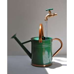 Bidon d'eau en métal de grande capacité de grande capacité attrayant et durable pour les fleurs avec buse de versement lisse et poignée confortable - Product Image 3