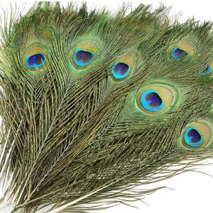 Home Genie Plumes de paon naturelles 10 à 12 pouces (paquet de 10) pour la décoration intérieure, l'artisanat et l'utilisation spirituelle - Product Image 1