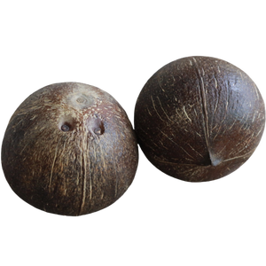 Noix de coco séchée de qualité supérieure: Source Vietnam. Faible quantité minimale de commande. Douceur tropicale. Exportation biologique. - Product Image 1