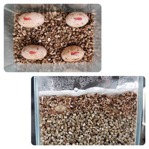 New Thermal Insulation Vermiculite for Brake Block Building &amp; Plant <strong>Topsoil</strong> Decorate Essential for Plant Health - Product Image 6