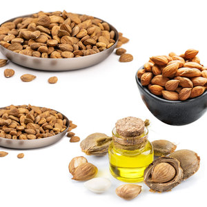 <b>Apricot</b> <b>Kernels</b> | Long Shelf Life with Sealed Bulk Packaging - Product Image 3