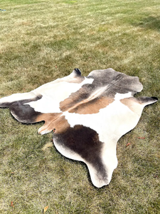 พรมหนังวัวไตรรงค์แท้ลายจุดพรมหนังวัวบราซิล - Product Image 6