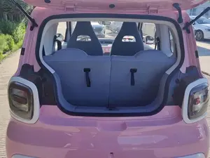 2025 F E W Bet Une Ponl HATCHBACK AWD Doble Tracción Neumáticos R18 Batería de Litio 110kWh Asientos de Cuero Cámara Trasera Techo Panorámico - Product Image 4