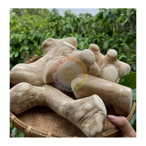 Pedido a granel Gorilla Coffee Wood Chew-Masticable de madera seguro, natural y sin químicos para perros de todos los tamaños - Product Image 5