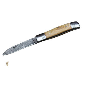 Nuevo Cuchillo de Caza Personalizable OEM, Acero Inoxidable, Hoja Dentada con Punta de Clip, Plegable de Bolsillo, Garantía de 3 Años, Regalo para Chef o Madre - Product Image 1