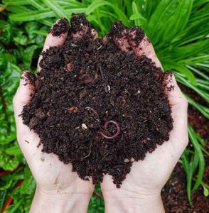 Fertilizante de estiércol de jardinería de terraza de alta calidad, estiércol Vermi Compost Bio Fertilizante - Product Image 6