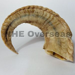 Premium Ram Horn Dog Bones Natural Strong Safe Healthy Durable Masticables de larga duración para cachorros y perros adultos - Product Image 5