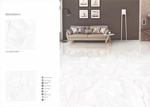 Vistaar 600x600mm Carrelage en porcelaine émaillée pour mur et sol de maison Poli 60x60 GVT 2x2 PGVT Brique Onix Beige - Product Image 5