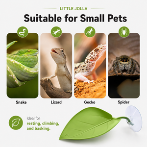 Fournitures en gros pour reptiles : hamac en feuille à ventouse en PVC, décoration de <span class=keywords><strong>terrarium</strong></span> pour lézards et geckos - Product Image 2