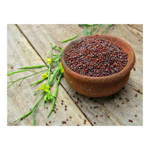 Vente en gros de graines de moutarde de qualité supérieure pour assaisonnement et condiment - Product Image 1