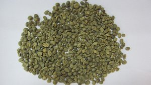Hạt cà phê xanh cao cấp Việt Nam: Nhà Xuất khẩu hàng đầu cung cấp đặc sản Arabica hữu cơ và Robusta cho những người yêu thích cà phê sành ăn - Product Image 2
