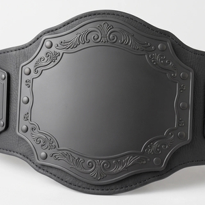 Ceinture de champion personnalisée, entièrement noire, avec plaques métalliques mates, en cuir vierge, pour boxe, MMA, lutte - Product Image 6