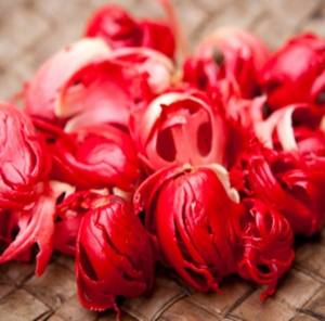 Venta al por mayor 100% Pure High Quality Mace Essential Oil Manufacturer 100% Pure and Natural Mace Essential Oil Best Mace Oil in INDIA - Product Image 1