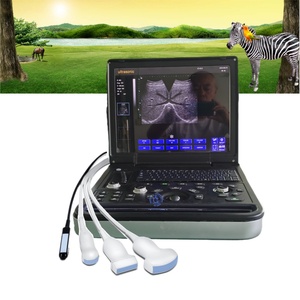 Aparato de Diagnóstico Ultrasónico Portátil Veterinario para Hospitales de Mascotas y Ganado - Product Image 1